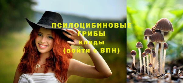 ГАЛЛЮЦИНОГЕННЫЕ ГРИБЫ Алексин