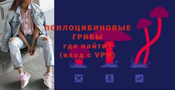 ГАЛЛЮЦИНОГЕННЫЕ ГРИБЫ Алексин