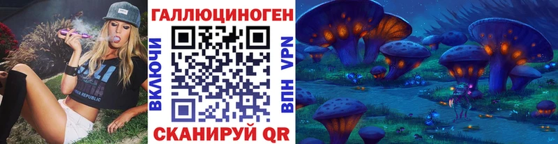 Псилоцибиновые грибы Psilocybe  Алзамай 